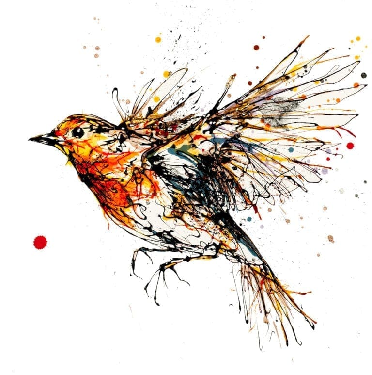 Airborne Robin Open Edition Print