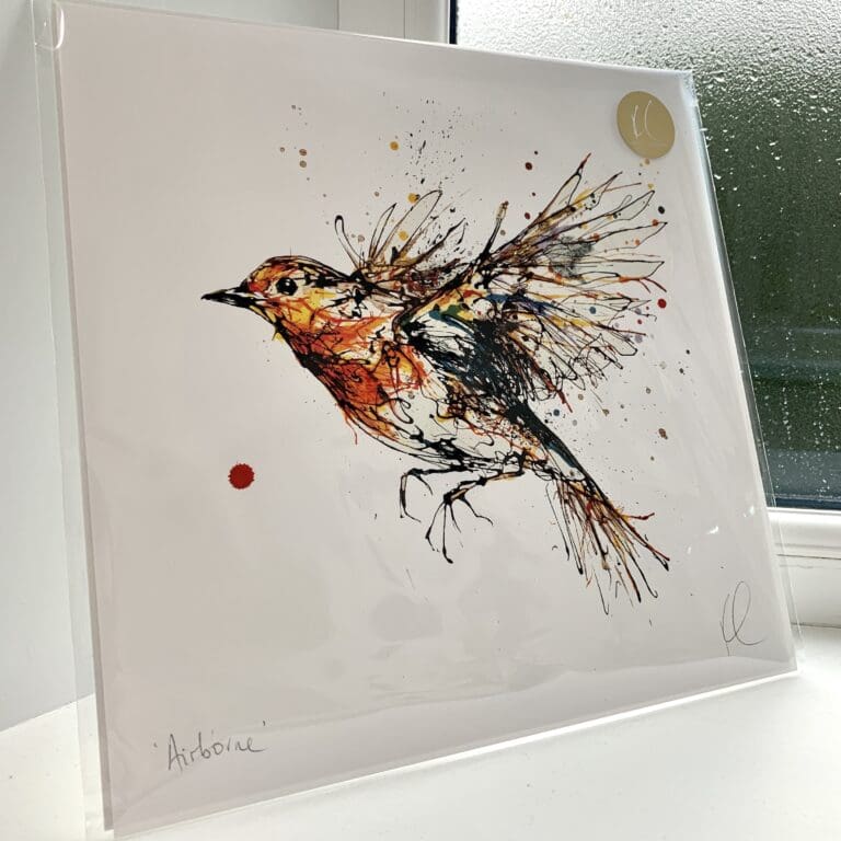 A print of Airborne by Kathryn Callaghan, which features a robin in flight. The 30cm print is presented flat in a clear cello bag with a golden KC sticker in the top right.