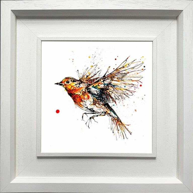 Airborne Robin in Flight Paper Giclee Fine Art Print in Deluxe White Frame