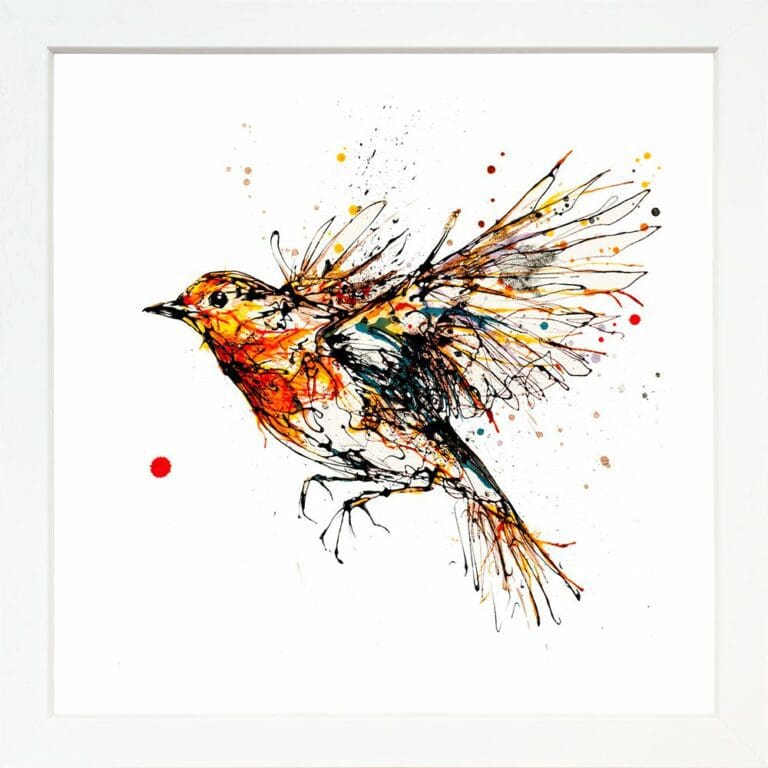 Airborne Robin in Flight Paper Giclee Fine Art Print in Standard White Frame