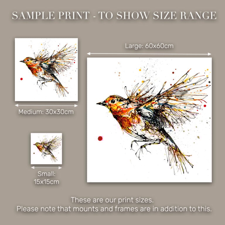 Airborne - Robin Print - Image 10