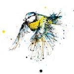 Coat of Colour Blue Tit Print