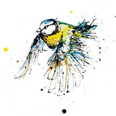 Coat of Colour Blue Tit Print