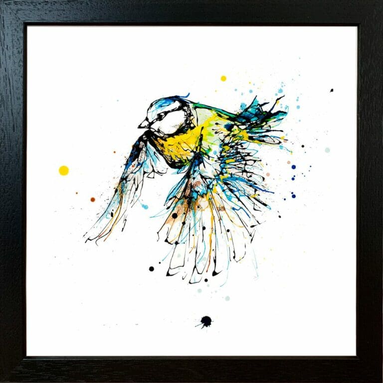 Coat of Colour Flying Blue Tit Paper Giclee Fine Art Print in Standard Black Frame