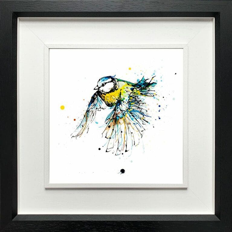 Coat of Colour Flying Blue Tit Paper Giclee Fine Art Print in Deluxe Black Frame