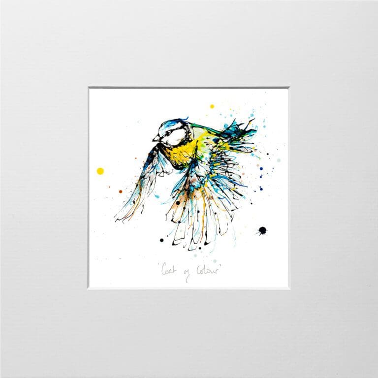 A digital mockup showing how a miniature print of Coat of Colour by Kathryn Callaghan will look presented in a 23cm mount. Coat of Colour features a blue tit in flight.