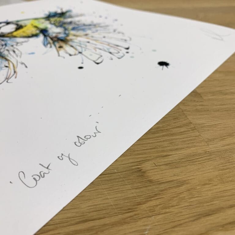 Photograph of Coat of Colour by Kathryn Callaghan, a print of a blue tit in flight, which shows the print's title handwritten in the bottom left corner and the artist's signature in the bottom right, with space between to add a custom personalisation.