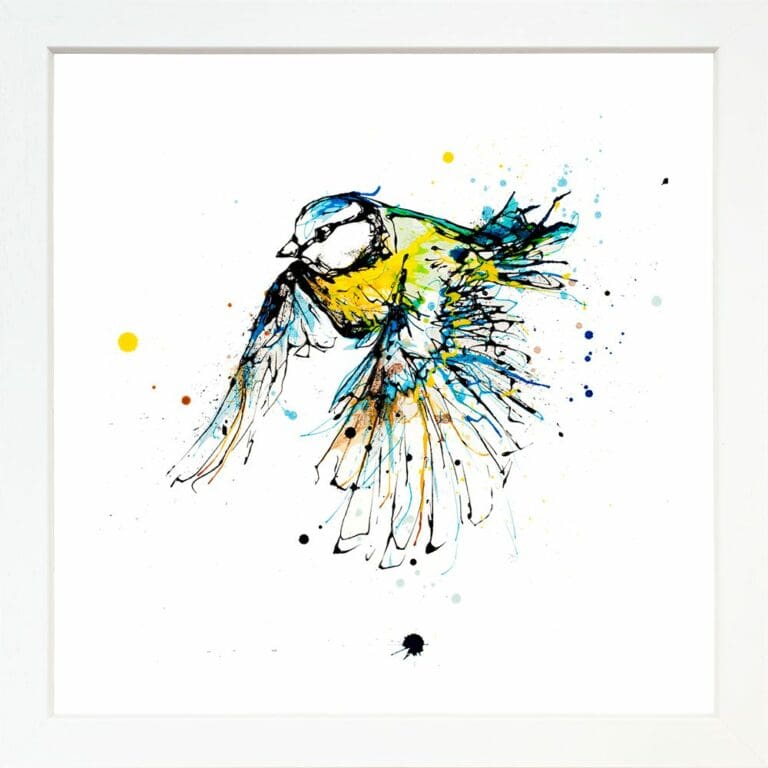 Coat of Colour Flying Blue Tit Paper Giclee Fine Art Print in Standard White Frame