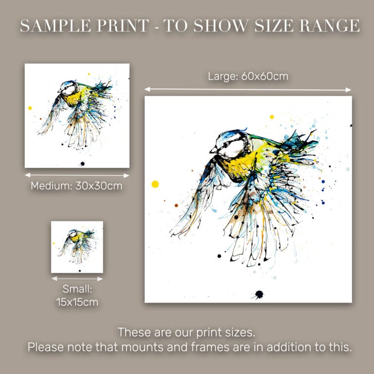 Coat of Colour - Blue Tit Print - Image 10