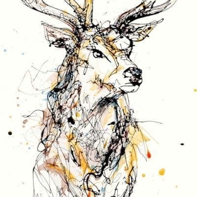 Stag print by artist Kathryn Callaghan