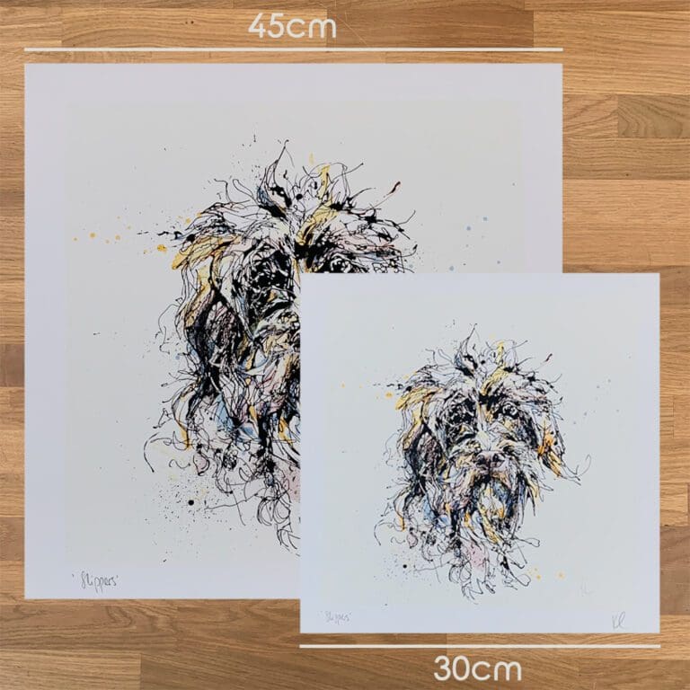 Two prints of Slippers by Kathryn Callaghan, a print of a scruffy dog's face, to show the size difference between the 45cm print and the 30cm print.