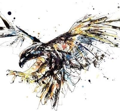 Falcons and Eagles