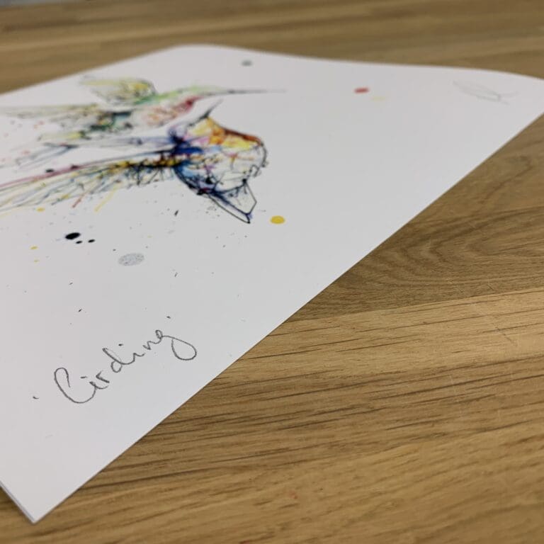 Photograph of Circling by Kathryn Callaghan, a print of two hummingbirds flying in tandem, which shows the print's title handwritten in the bottom left corner and the artist's signature in the bottom right, with space between to add a custom personalisation.