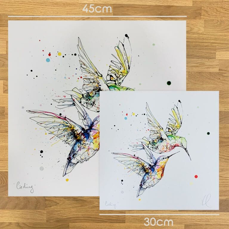 Two prints of Circling by Kathryn Callaghan, a print of two hummingbirds flying in tandem, to show the size difference between the 45cm print and the 30cm print.