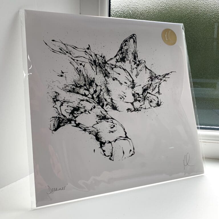 A print of Dreamer by Kathryn Callaghan, which features a black and white sleeping cat. The 30cm print is presented flat in a clear cello bag with a golden KC sticker in the top right.