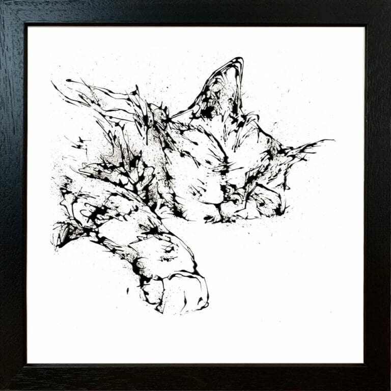 Dreamer Cat Paper Giclee Fine Art Print in Standard Black Frame