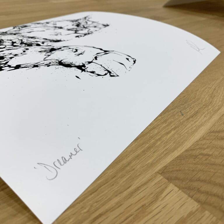 Photograph of Dreamer by Kathryn Callaghan, a print of a black and white sleeping cat, which shows the print's title handwritten in the bottom left corner and the artist's signature in the bottom right, with space between to add a custom personalisation.