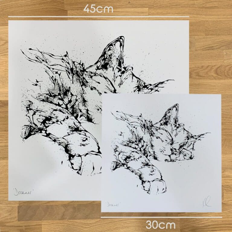 Two prints of Dreamer by Kathryn Callaghan, a print of a black and white sleeping cat, to show the size difference between the 45cm print and the 30cm print.