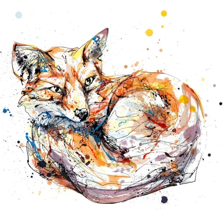 Awaken Curled Fox Fine Art Print