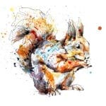 Nuts Red Squirrel Fine Art Print by Northern Ireland artist Kathryn Callaghan