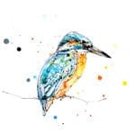 Gaze Peering Kingfisher Print