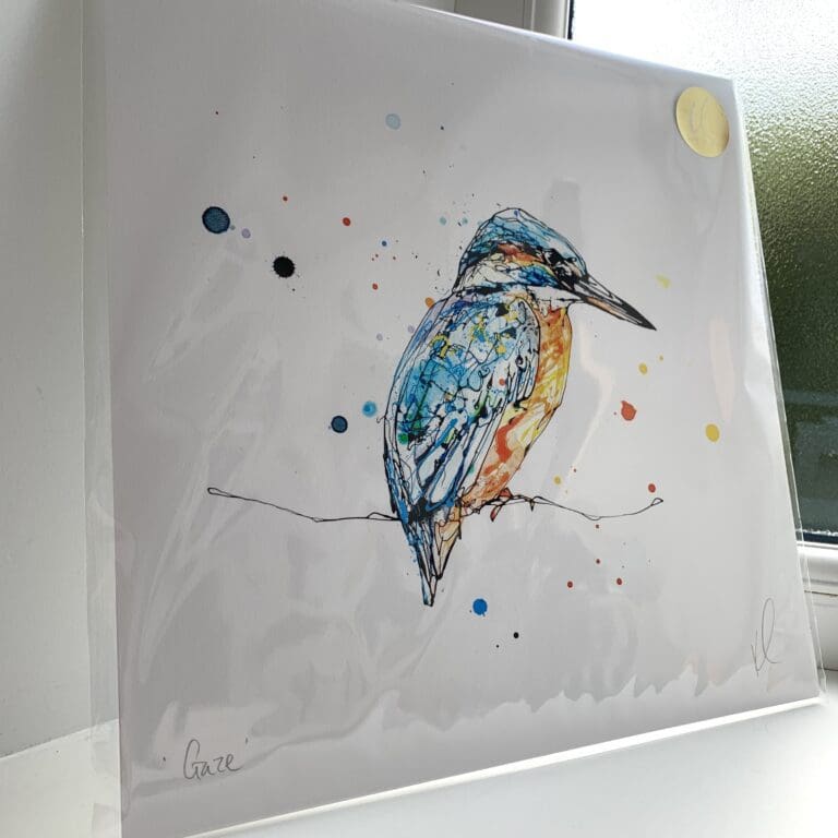 A print of Gaze by Kathryn Callaghan, which features a perched kingfisher. The 30cm print is presented flat in a clear cello bag with a golden KC sticker in the top right.