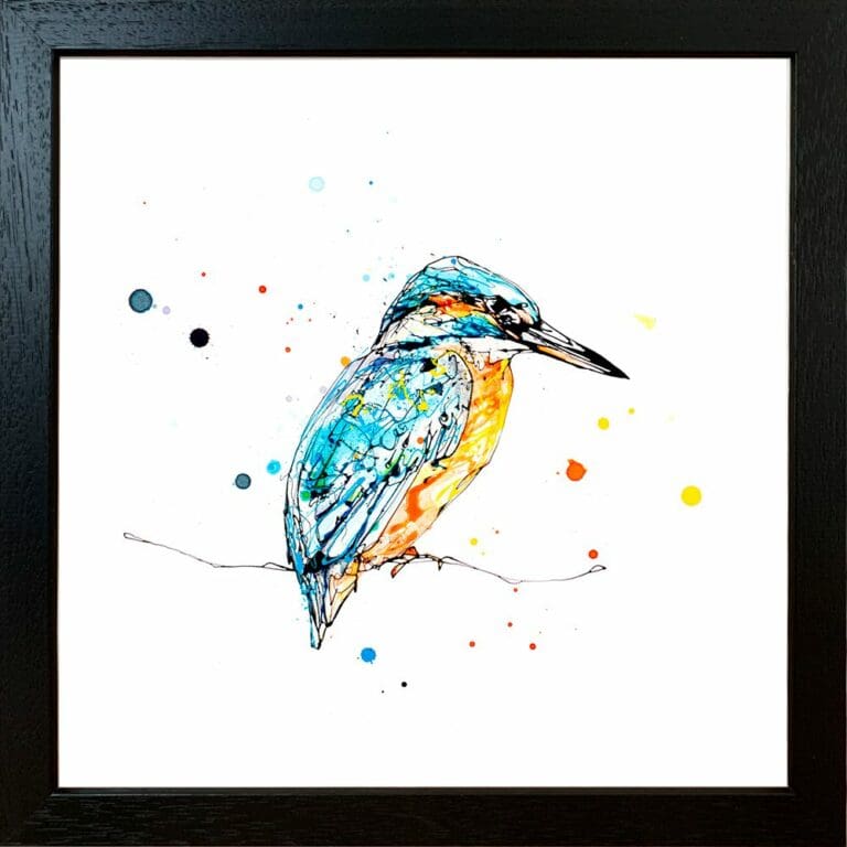 Gaze Kingfisher Paper Giclee Fine Art Print in Standard Black Frame