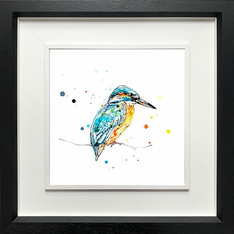 Gaze Kingfisher Paper Giclee Fine Art Print in Deluxe Black Frame