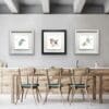 Gaze kingfisher, Peekaboo robin, and United Blue Tits print shown in Deluxe Frames in Situ