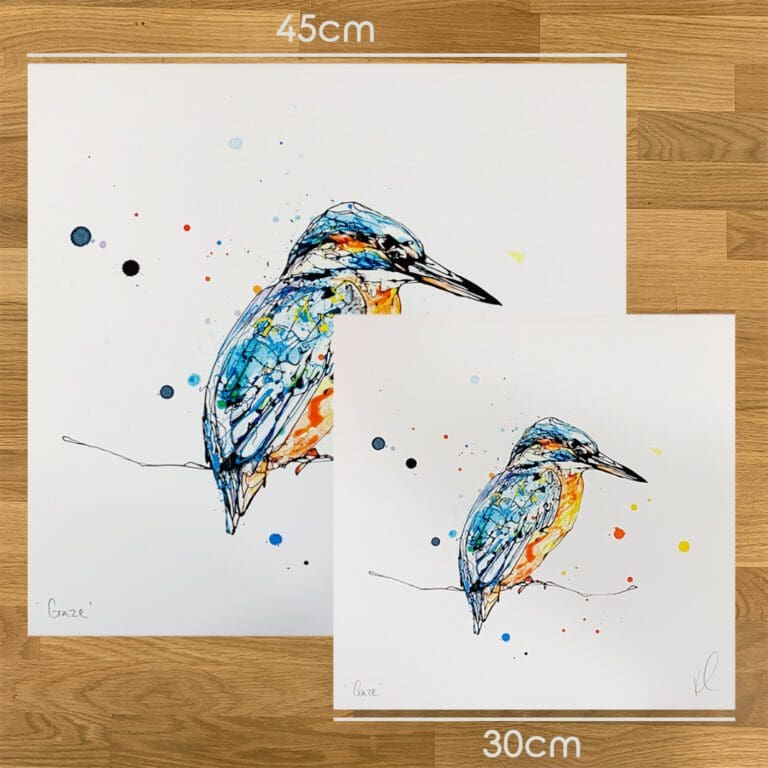 Two prints of Gaze by Kathryn Callaghan, a print of a perched kingfisher, to show the size difference between the 45cm print and the 30cm print.