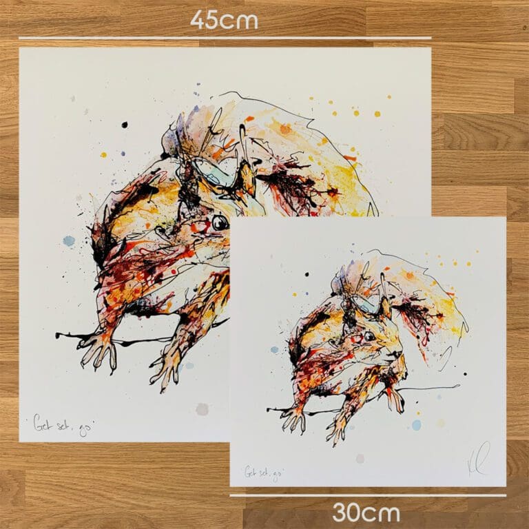 Two prints of Get Set, Go! by Kathryn Callaghan, a print of an energetic red squirrel, to show the size difference between the 45cm print and the 30cm print.