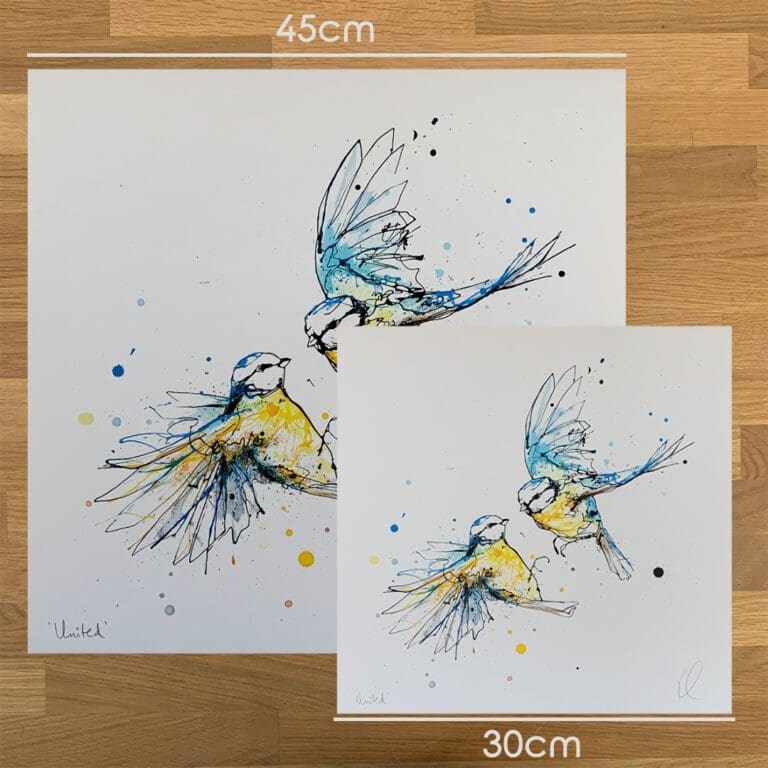 Two prints of United by Kathryn Callaghan, a print of two blue tits in flight, to show the size difference between the 45cm print and the 30cm print.