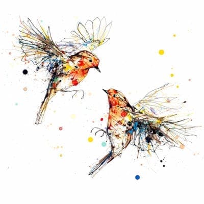 Showdown Fine Art Print of Two Robins Flying