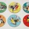 Garden Bird Coasters by Kathryn Callaghan