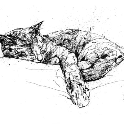 sleeping cat painting