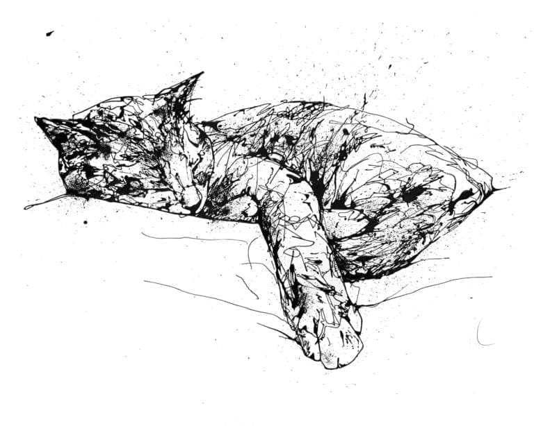 sleeping cat painting