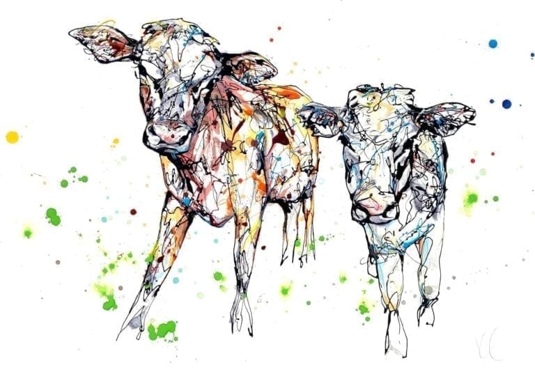 calves by Kathryn Callaghan