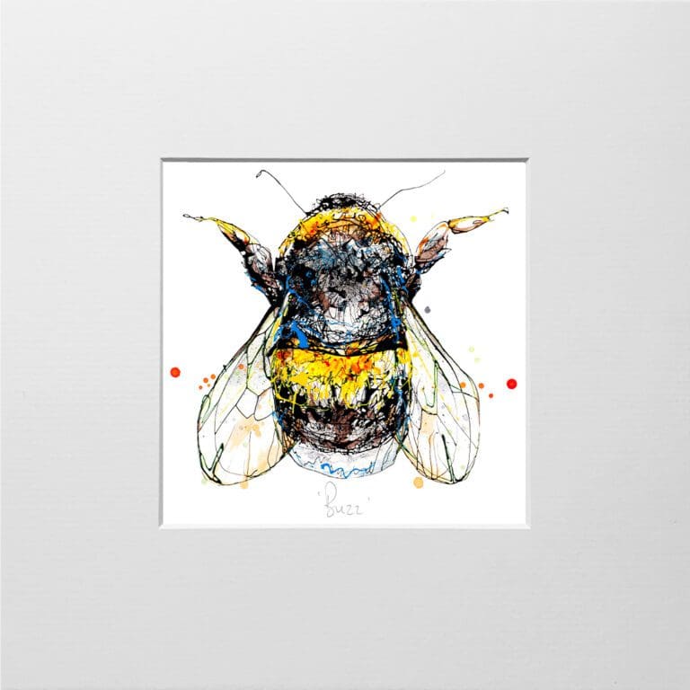 A digital mockup showing how a miniature print of Buzz by Kathryn Callaghan will look presented in a 23cm mount. Buzz features a top down view of a bumblebee.