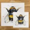 Two prints of Buzz by Kathryn Callaghan, a print of a bumblebee, to show the size difference between the 45cm print and the 30cm print.