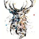 stag print by kathryn callaghan