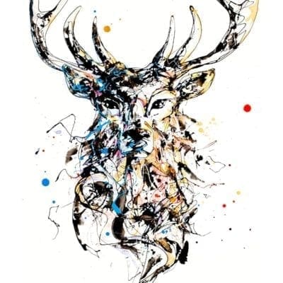 stag print by kathryn callaghan