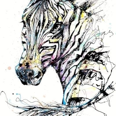 art print of zebra