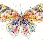 butterfly print