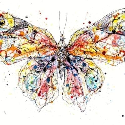 butterfly print