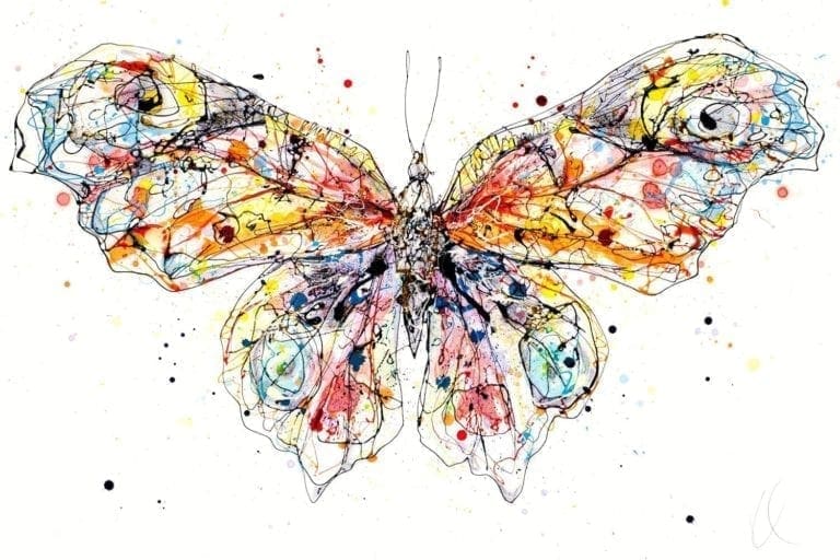 butterfly print