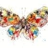 photo of butterfly print