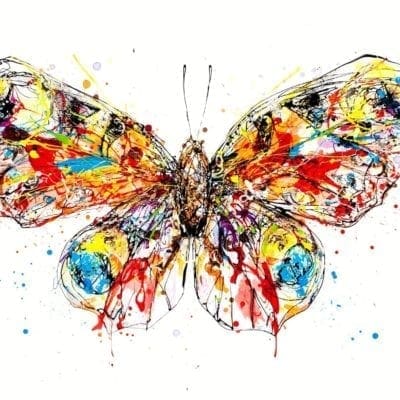 photo of butterfly print