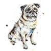 anticipation pug print