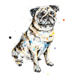 anticipation pug print