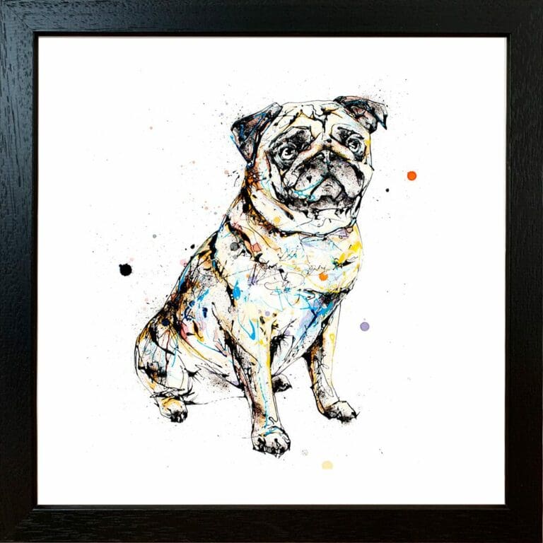 Anticipation Pug Paper Giclee Fine Art Print displayed in Black Frame